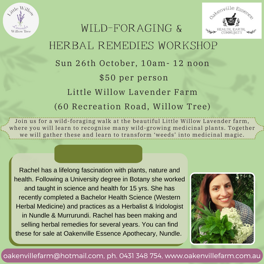 Wild-Foraging & Herbal Remedies Workshop 26th October 10am-12 noon