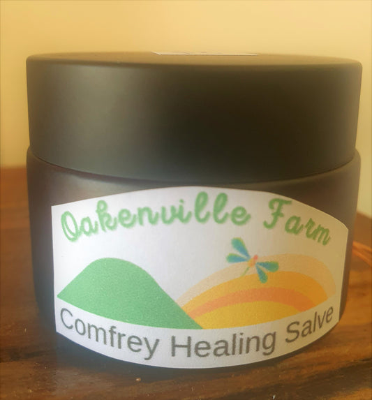 Comfrey Healing Salve 50g